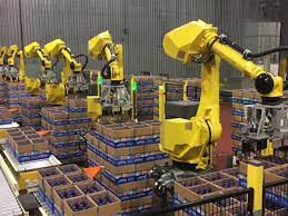 automatización en los procesos de producción