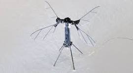 Explorando el Futuro: El Fascinante Mundo del Robot Insecto