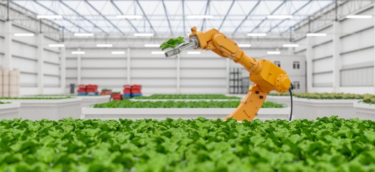 tecnologías de la producción