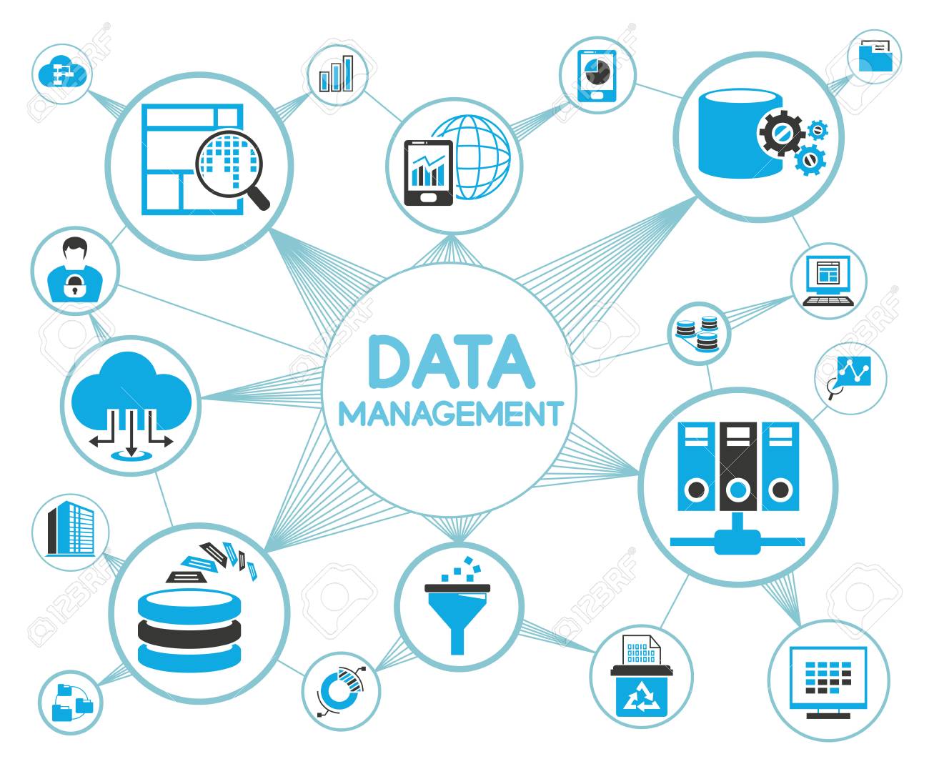 Optimizando la Gestión de Datos para el Éxito Empresarial