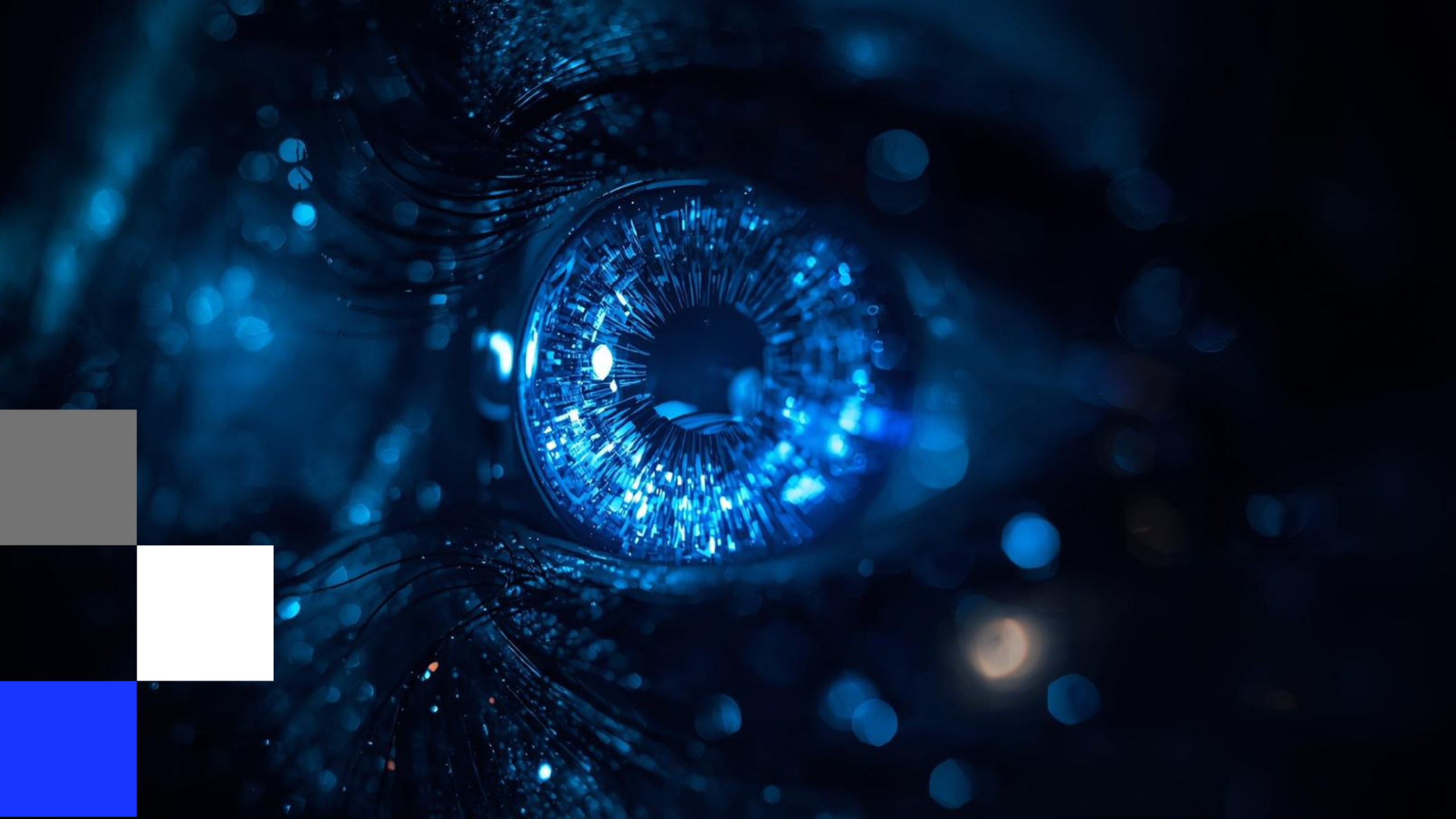 Automatización Inteligente: Potenciando la Eficiencia con WIT