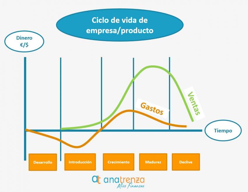 desarrollo en una empresa